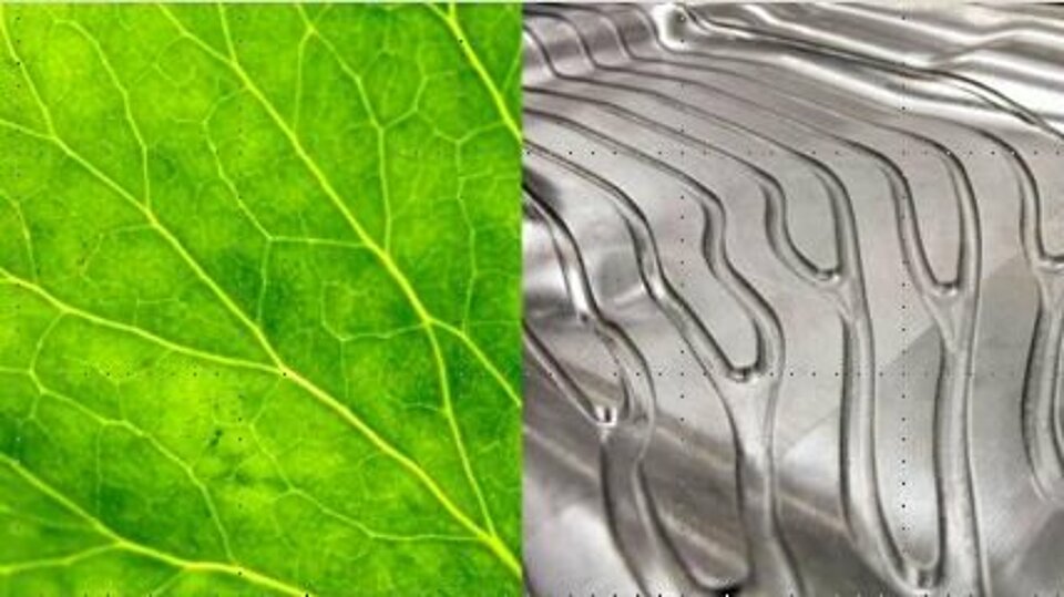 The image is divided into two parts. The left half shows the close-up of the vein structure of a leaf and the right half shows a structure similar to it, embossed in metal.